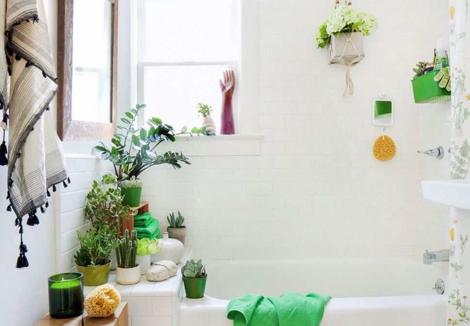 decoracion con plantas para baños