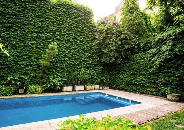 piscina pequeña para jardin