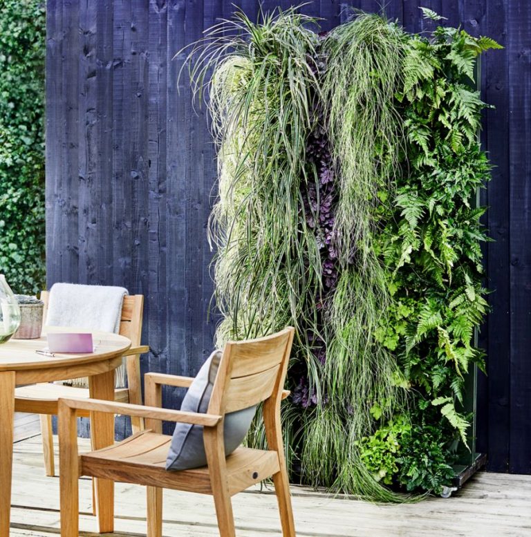 +60 Ideas para Decorar Jardines Pequeños con Encanto ️