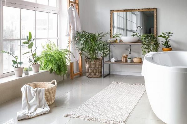 decorar el baño con plantas interior