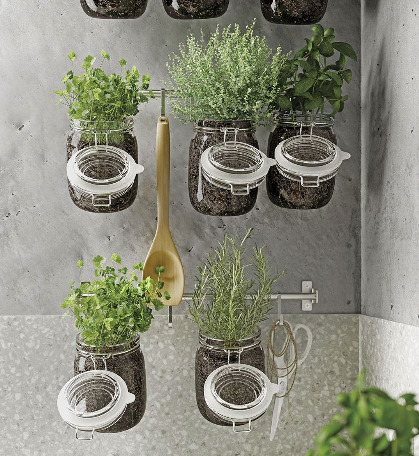 ideas para decorar una cocina con plantas