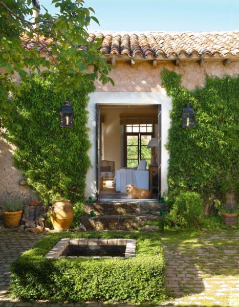 Cómo Decorar Un Patio Andaluz con Éxito | ¡Ideas! ️