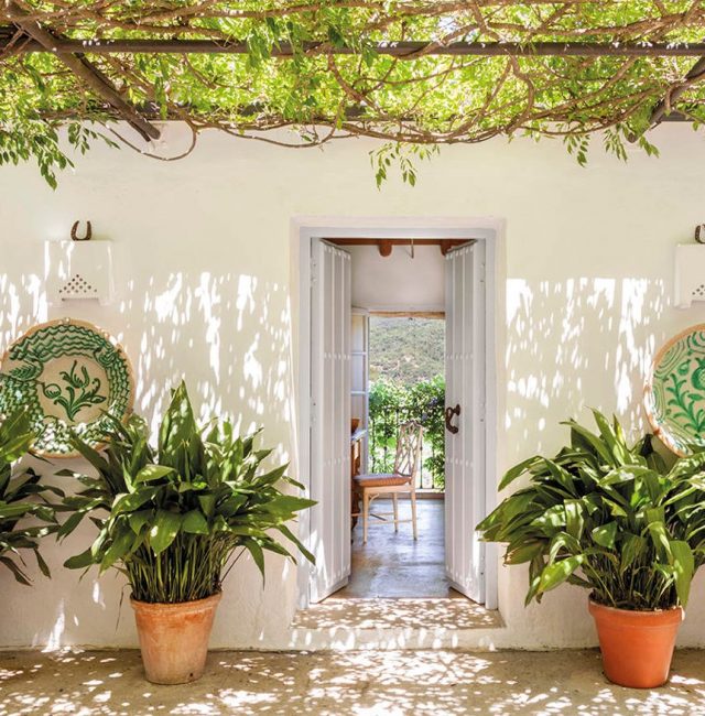 Cómo Decorar Un Patio Andaluz con Éxito | ¡Ideas! ️