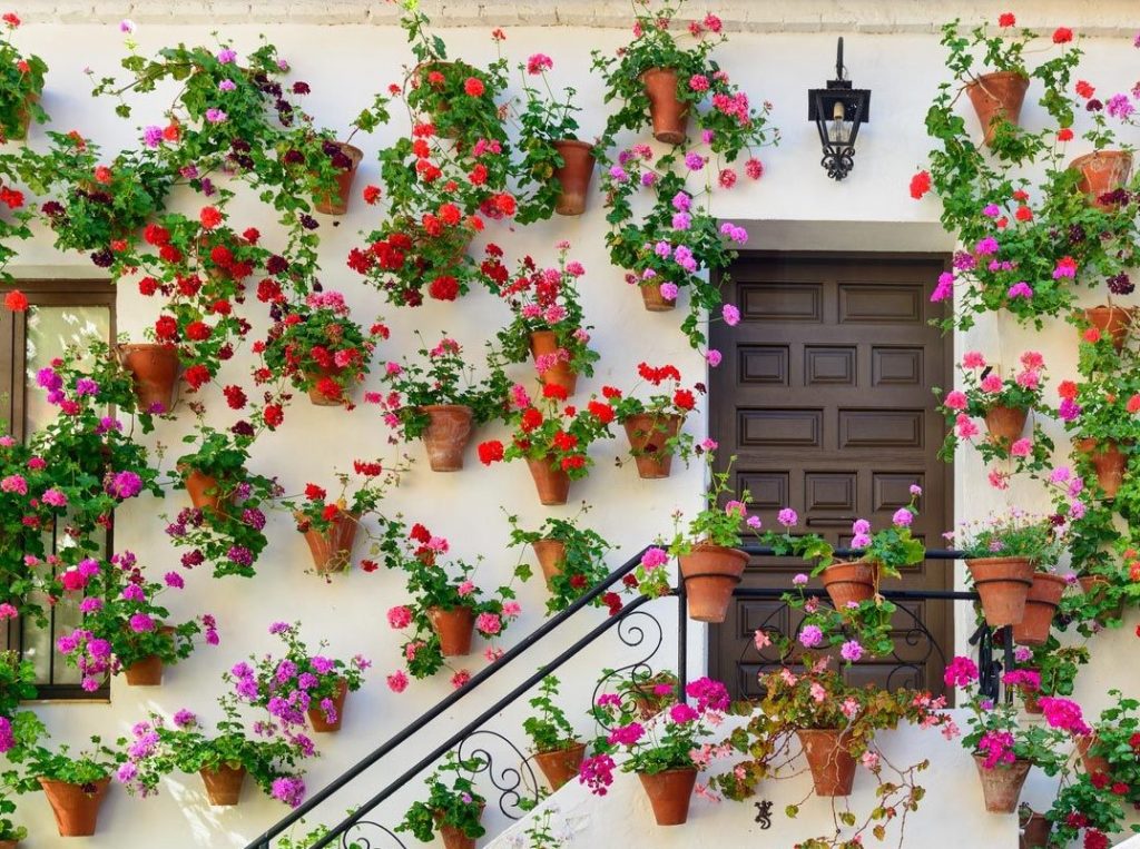 Cómo Decorar Un Patio Andaluz con Éxito | ¡Ideas! ️