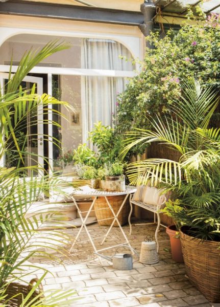 Cómo Decorar Un Patio Andaluz con Éxito | ¡Ideas! ️